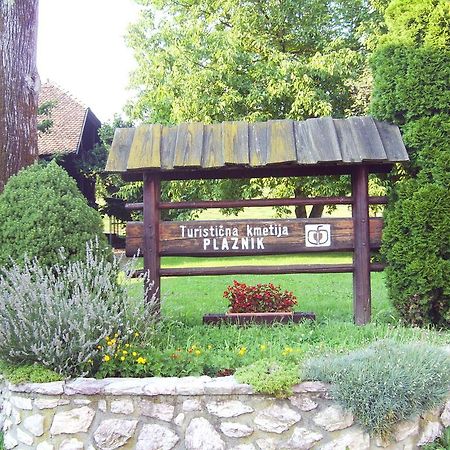 Guest House Turisticna Kmetija Plaznik Ljubno Luaran gambar