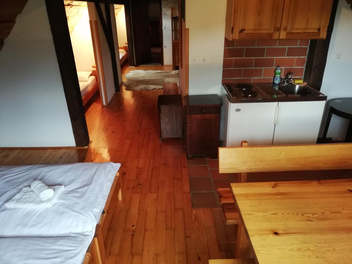 Guest House Turisticna Kmetija Plaznik Ljubno Luaran gambar