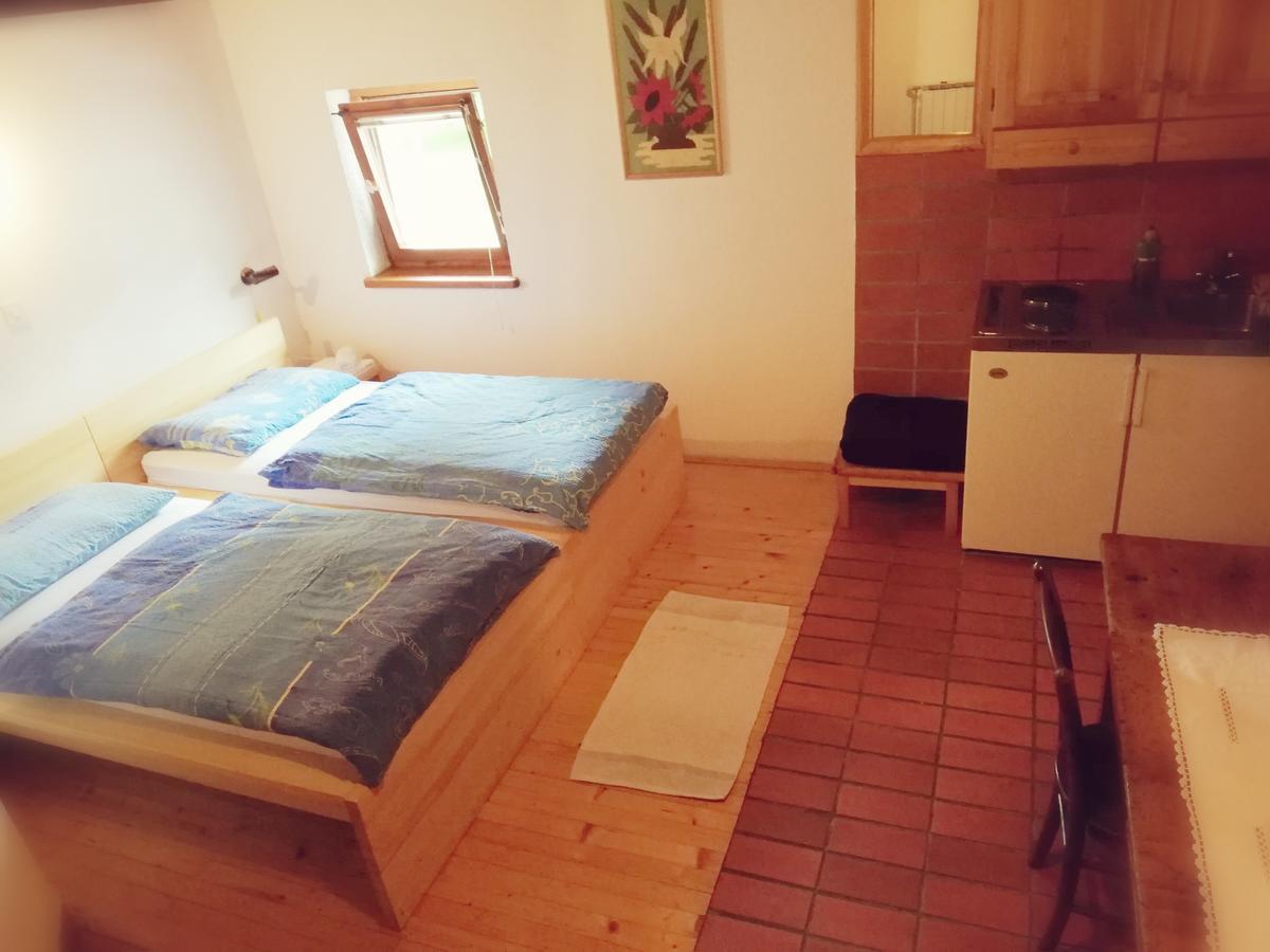 Guest House Turisticna Kmetija Plaznik Ljubno Luaran gambar