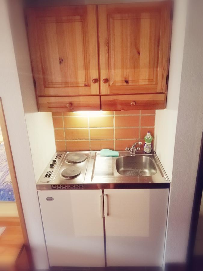 Guest House Turisticna Kmetija Plaznik Ljubno Luaran gambar